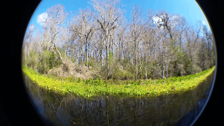 360 view of Wakulla springs through a blue marble