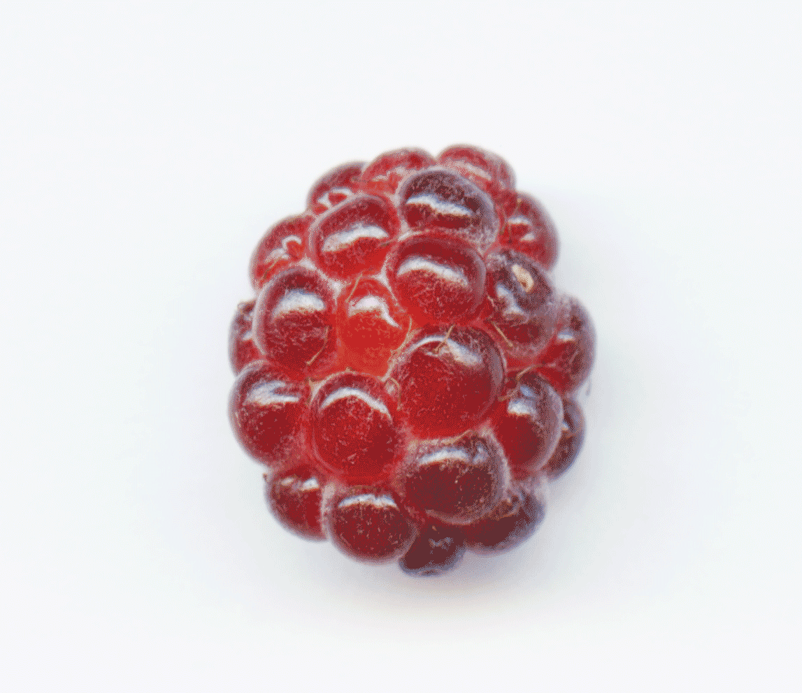 Animated red raspberry