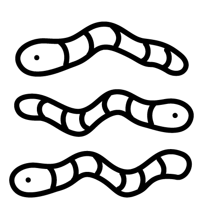 3 squiggly worms